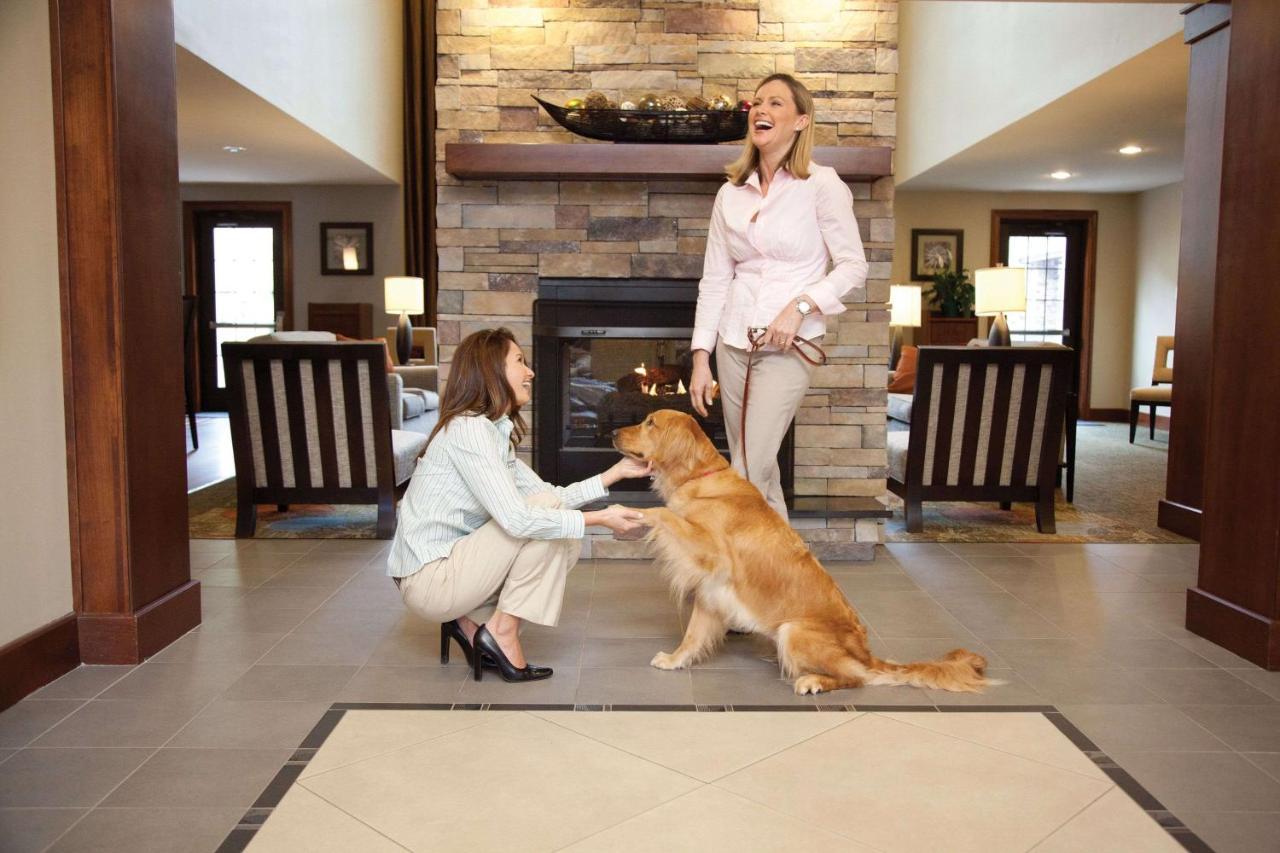 Sonesta Es Suites Dallas - Las Colinas アーヴィング エクステリア 写真